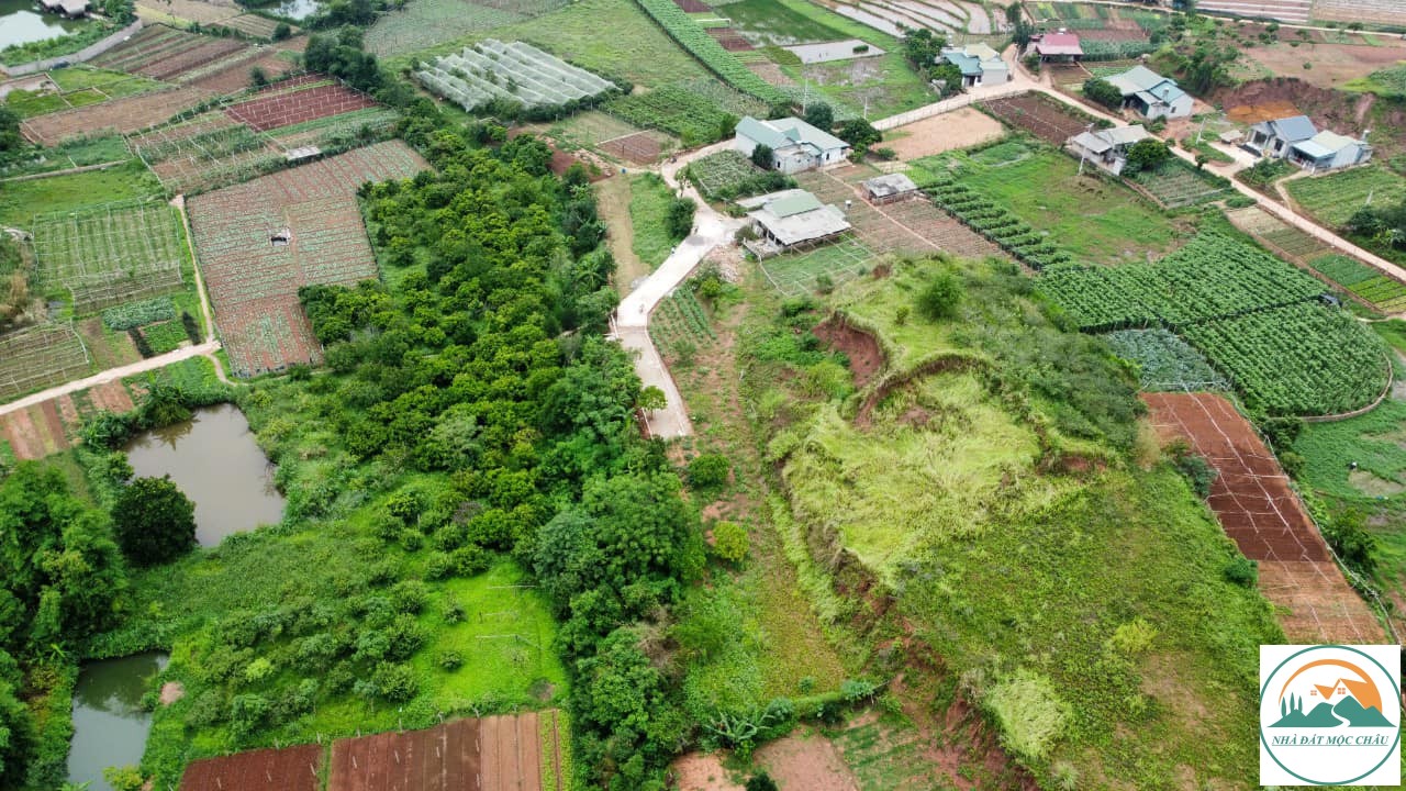 dat muong sang du lich moc chau (2)